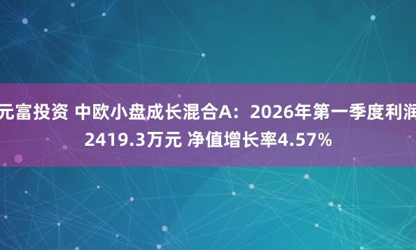 元富投资 中欧小盘成长混合A：2026年第一季度利润2419.3万元 净值增长率4.57%